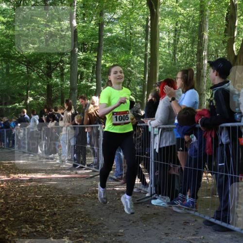 28.09.2025 - 33. Volkslauf durch das schöne Alstertal Strokosch-Dieckow http://msf.ph/oto/8967187 28.09.2025 11:40:31 Ziel 1005, 3243, 3259 meine-sportfotos.de