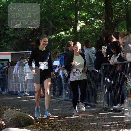 28.09.2025 - 33. Volkslauf durch das schöne Alstertal Strokosch-Dieckow http://msf.ph/oto/8967189 28.09.2025 11:40:37 Ziel 1553, 1575, 3243, 3259, 3264, 3409 meine-sportfotos.de