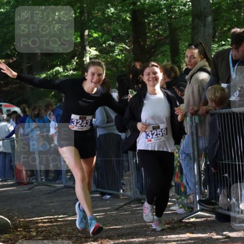 28.09.2025 - 33. Volkslauf durch das schöne Alstertal Strokosch-Dieckow http://msf.ph/oto/8967192 28.09.2025 11:40:38 Ziel 1553, 1575, 3238, 3243, 3259, 3264, 3409 meine-sportfotos.de