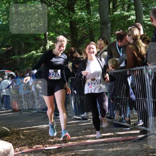 28.09.2025 - 33. Volkslauf durch das schöne Alstertal Strokosch-Dieckow http://msf.ph/oto/8967193 28.09.2025 11:40:38 Ziel 1553, 1575, 3238, 3243, 3259, 3264, 3409 meine-sportfotos.de