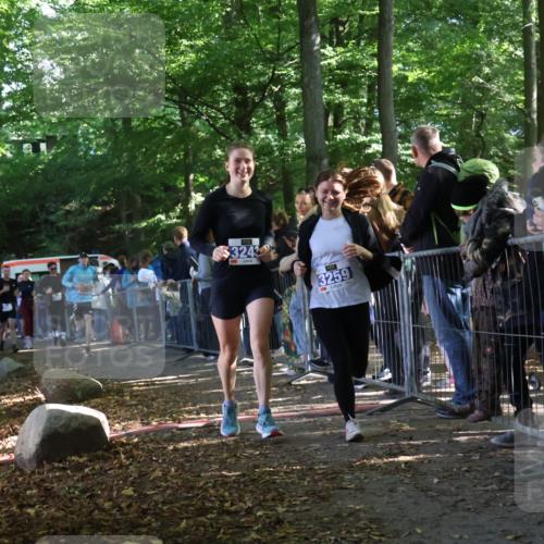 28.09.2025 - 33. Volkslauf durch das schöne Alstertal Strokosch-Dieckow http://msf.ph/oto/8967197 28.09.2025 11:40:39 Ziel 1553, 1575, 3238, 3243, 3259, 3264, 3409 meine-sportfotos.de