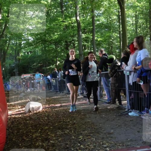 28.09.2025 - 33. Volkslauf durch das schöne Alstertal Strokosch-Dieckow http://msf.ph/oto/8967199 28.09.2025 11:40:39 Ziel 1553, 1575, 3238, 3243, 3259, 3264, 3409 meine-sportfotos.de