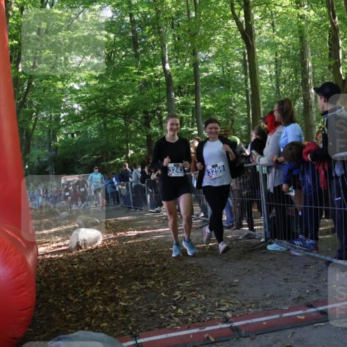 28.09.2025 - 33. Volkslauf durch das schöne Alstertal Strokosch-Dieckow http://msf.ph/oto/8967202 28.09.2025 11:40:39 Ziel 1553, 1575, 3238, 3243, 3259, 3264, 3409 meine-sportfotos.de