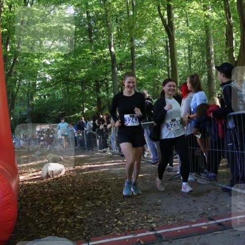 28.09.2025 - 33. Volkslauf durch das schöne Alstertal Strokosch-Dieckow http://msf.ph/oto/8967204 28.09.2025 11:40:40 Ziel 1553, 1575, 3238, 3243, 3259, 3264, 3409 meine-sportfotos.de
