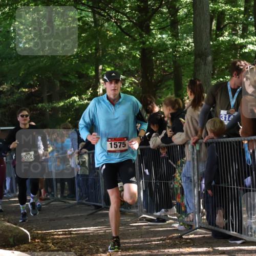 28.09.2025 - 33. Volkslauf durch das schöne Alstertal Strokosch-Dieckow http://msf.ph/oto/8967208 28.09.2025 11:40:42 Ziel 1553, 1575, 3238, 3264, 3409 meine-sportfotos.de