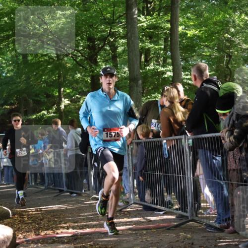 28.09.2025 - 33. Volkslauf durch das schöne Alstertal Strokosch-Dieckow http://msf.ph/oto/8967210 28.09.2025 11:40:42 Ziel 1553, 1575, 3238, 3264, 3409 meine-sportfotos.de
