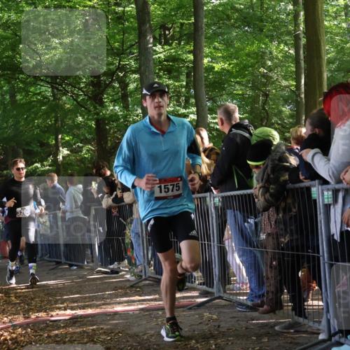 28.09.2025 - 33. Volkslauf durch das schöne Alstertal Strokosch-Dieckow http://msf.ph/oto/8967213 28.09.2025 11:40:42 Ziel 1553, 1575, 3238, 3264, 3409 meine-sportfotos.de