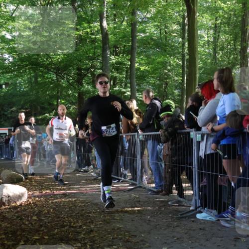 28.09.2025 - 33. Volkslauf durch das schöne Alstertal Strokosch-Dieckow http://msf.ph/oto/8967222 28.09.2025 11:40:44 Ziel 1553, 3238, 3264, 3409 meine-sportfotos.de