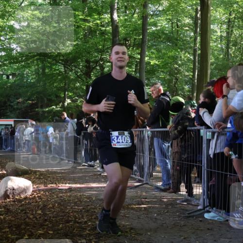 28.09.2025 - 33. Volkslauf durch das schöne Alstertal Strokosch-Dieckow http://msf.ph/oto/8967238 28.09.2025 11:40:47 Ziel 3238, 3409 meine-sportfotos.de