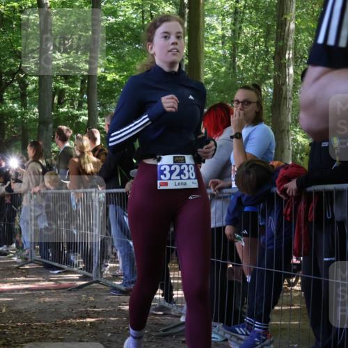 28.09.2025 - 33. Volkslauf durch das schöne Alstertal Strokosch-Dieckow http://msf.ph/oto/8967245 28.09.2025 11:40:48 Ziel 3139, 3238 meine-sportfotos.de
