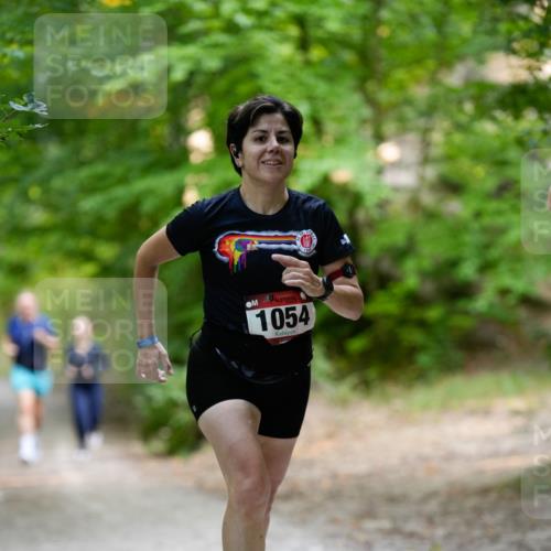 28.09.2025 - 33. Volkslauf durch das schöne Alstertal Patografie http://msf.ph/oto/8967255 28.09.2025 10:23:27 Laufen 1054 meine-sportfotos.de