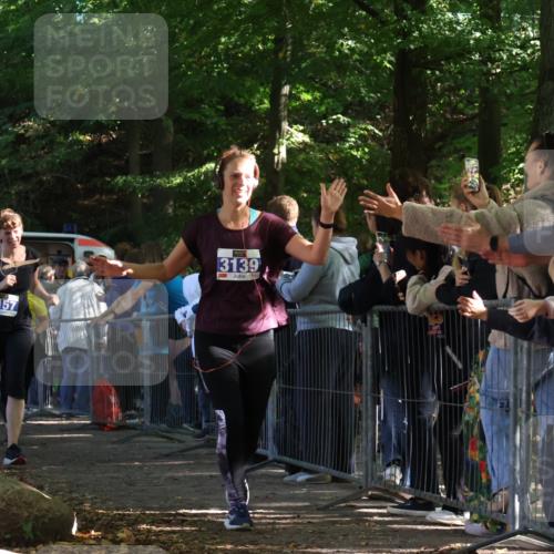 28.09.2025 - 33. Volkslauf durch das schöne Alstertal Strokosch-Dieckow http://msf.ph/oto/8967256 28.09.2025 11:40:56 Ziel 3139, 3157, 3911 meine-sportfotos.de