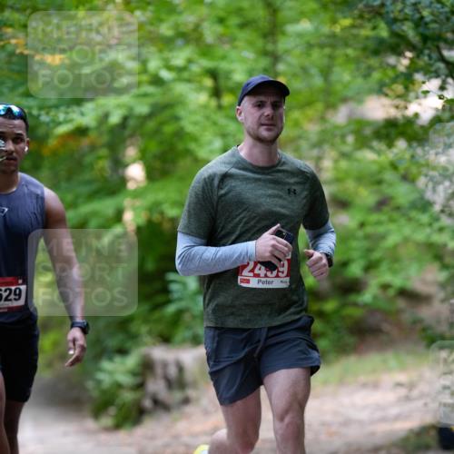 28.09.2025 - 33. Volkslauf durch das schöne Alstertal Patografie http://msf.ph/oto/8967257 28.09.2025 10:23:37 Laufen 529, 2459 meine-sportfotos.de