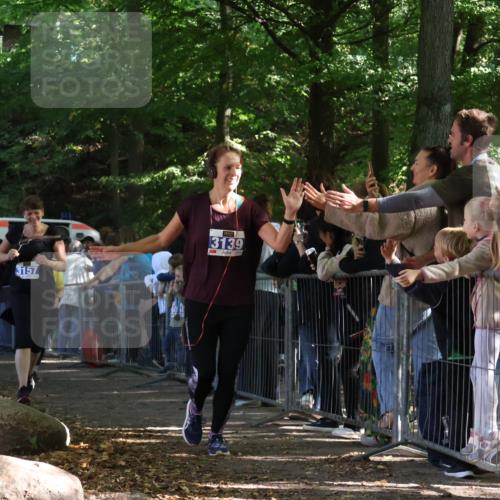 28.09.2025 - 33. Volkslauf durch das schöne Alstertal Strokosch-Dieckow http://msf.ph/oto/8967258 28.09.2025 11:40:56 Ziel 3139, 3157, 3911 meine-sportfotos.de