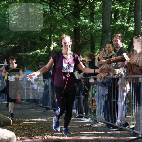 28.09.2025 - 33. Volkslauf durch das schöne Alstertal Strokosch-Dieckow http://msf.ph/oto/8967260 28.09.2025 11:40:57 Ziel 3057, 3058, 3139, 3157, 3911 meine-sportfotos.de
