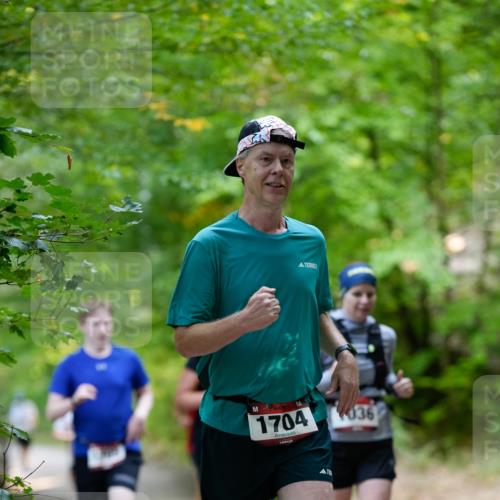 28.09.2025 - 33. Volkslauf durch das schöne Alstertal Patografie http://msf.ph/oto/8967261 28.09.2025 10:23:48 Laufen 1704, 036 meine-sportfotos.de