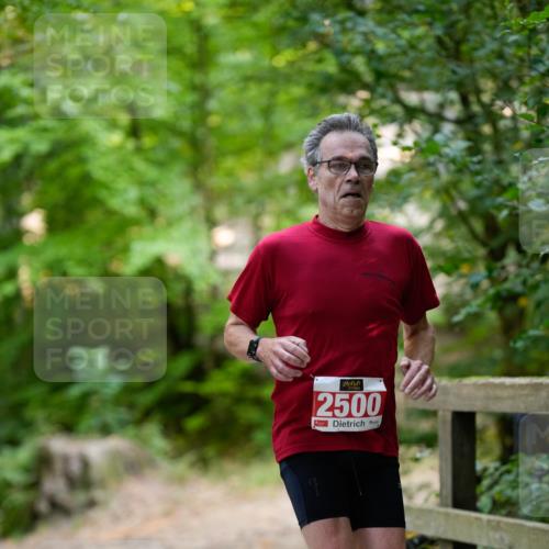 28.09.2025 - 33. Volkslauf durch das schöne Alstertal Patografie http://msf.ph/oto/8967263 28.09.2025 10:23:52 Laufen 2500 meine-sportfotos.de