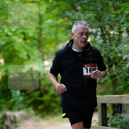 28.09.2025 - 33. Volkslauf durch das schöne Alstertal Patografie http://msf.ph/oto/8967264 28.09.2025 10:24:18 Laufen 169 meine-sportfotos.de