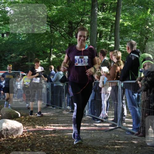 28.09.2025 - 33. Volkslauf durch das schöne Alstertal Strokosch-Dieckow http://msf.ph/oto/8967265 28.09.2025 11:40:58 Ziel 3057, 3058, 3139, 3157, 3911 meine-sportfotos.de