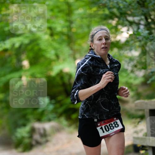 28.09.2025 - 33. Volkslauf durch das schöne Alstertal Patografie http://msf.ph/oto/8967266 28.09.2025 10:24:24 Laufen 1088 meine-sportfotos.de