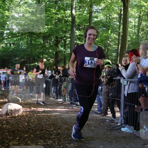 28.09.2025 - 33. Volkslauf durch das schöne Alstertal Strokosch-Dieckow http://msf.ph/oto/8967267 28.09.2025 11:40:58 Ziel 3057, 3058, 3139, 3157, 3911 meine-sportfotos.de