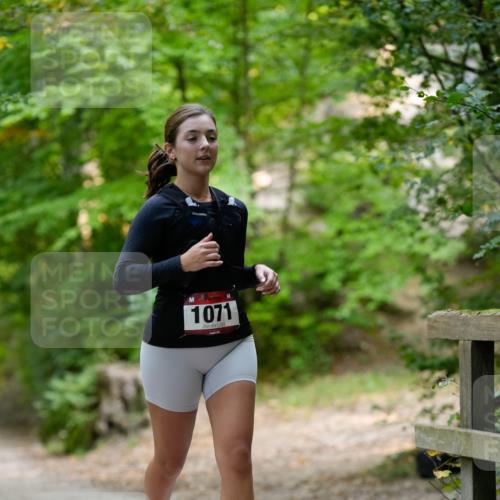 28.09.2025 - 33. Volkslauf durch das schöne Alstertal Patografie http://msf.ph/oto/8967268 28.09.2025 10:24:43 Laufen 1071 meine-sportfotos.de