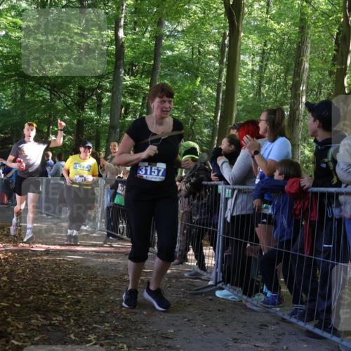 28.09.2025 - 33. Volkslauf durch das schöne Alstertal Strokosch-Dieckow http://msf.ph/oto/8967271 28.09.2025 11:41:00 Ziel 3057, 3058, 3157, 3911 meine-sportfotos.de
