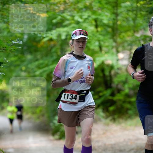 28.09.2025 - 33. Volkslauf durch das schöne Alstertal Patografie http://msf.ph/oto/8967272 28.09.2025 10:25:00 Laufen 1134 meine-sportfotos.de