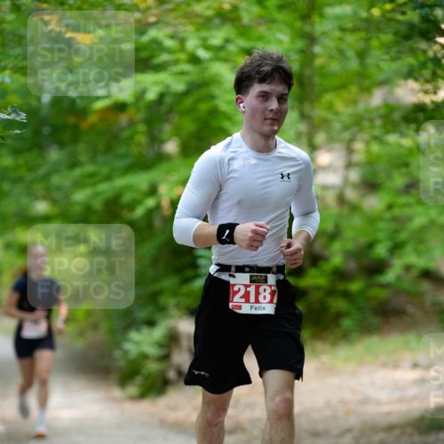 28.09.2025 - 33. Volkslauf durch das schöne Alstertal Patografie http://msf.ph/oto/8967280 28.09.2025 10:25:37 Laufen 2187 meine-sportfotos.de