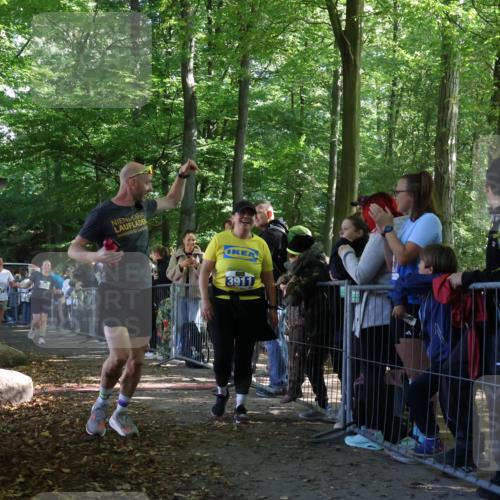28.09.2025 - 33. Volkslauf durch das schöne Alstertal Strokosch-Dieckow http://msf.ph/oto/8967281 28.09.2025 11:41:02 Ziel 3057, 3058, 3911 meine-sportfotos.de