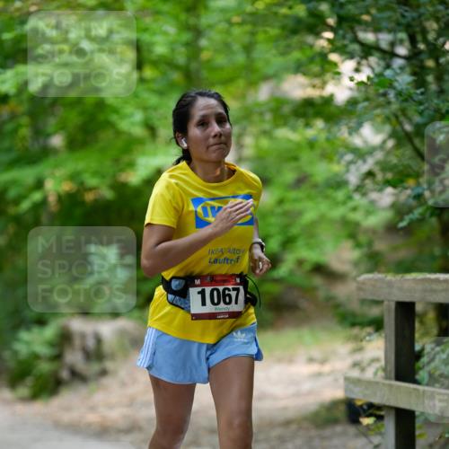 28.09.2025 - 33. Volkslauf durch das schöne Alstertal Patografie http://msf.ph/oto/8967282 28.09.2025 10:25:51 Laufen 1067 meine-sportfotos.de