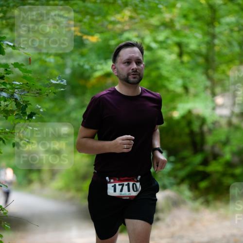 28.09.2025 - 33. Volkslauf durch das schöne Alstertal Patografie http://msf.ph/oto/8967284 28.09.2025 10:26:04 Laufen 1710 meine-sportfotos.de