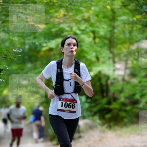 28.09.2025 - 33. Volkslauf durch das schöne Alstertal Patografie http://msf.ph/oto/8967286 28.09.2025 10:26:16 Laufen 1066 meine-sportfotos.de