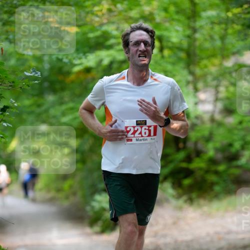 28.09.2025 - 33. Volkslauf durch das schöne Alstertal Patografie http://msf.ph/oto/8967287 28.09.2025 10:26:25 Laufen 2261 meine-sportfotos.de
