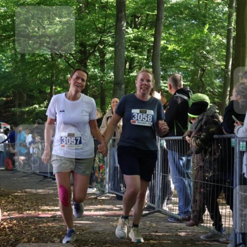 28.09.2025 - 33. Volkslauf durch das schöne Alstertal Strokosch-Dieckow http://msf.ph/oto/8967296 28.09.2025 11:41:06 Ziel 1556, 3057, 3058 meine-sportfotos.de