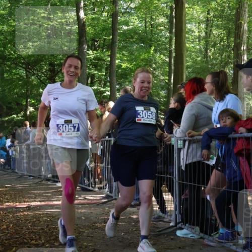 28.09.2025 - 33. Volkslauf durch das schöne Alstertal Strokosch-Dieckow http://msf.ph/oto/8967298 28.09.2025 11:41:07 Ziel 1556, 3057, 3058 meine-sportfotos.de