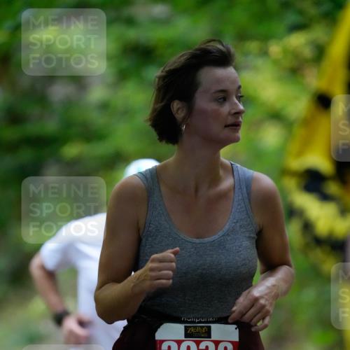 28.09.2025 - 33. Volkslauf durch das schöne Alstertal Patografie http://msf.ph/oto/8967303 28.09.2025 10:30:12 Laufen 2030 meine-sportfotos.de