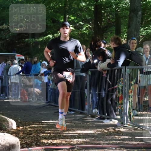 28.09.2025 - 33. Volkslauf durch das schöne Alstertal Strokosch-Dieckow http://msf.ph/oto/8967306 28.09.2025 11:41:13 Ziel 1556 meine-sportfotos.de