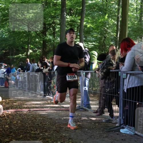 28.09.2025 - 33. Volkslauf durch das schöne Alstertal Strokosch-Dieckow http://msf.ph/oto/8967311 28.09.2025 11:41:14 Ziel 1556 meine-sportfotos.de