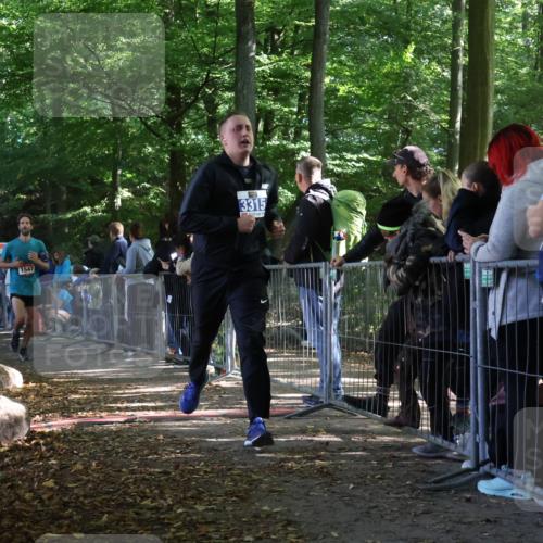 28.09.2025 - 33. Volkslauf durch das schöne Alstertal Strokosch-Dieckow http://msf.ph/oto/8967319 28.09.2025 11:41:26 Ziel 1547, 3195, 3315 meine-sportfotos.de