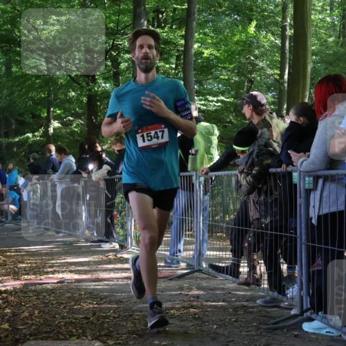 28.09.2025 - 33. Volkslauf durch das schöne Alstertal Strokosch-Dieckow http://msf.ph/oto/8967332 28.09.2025 11:41:29 Ziel 1547, 3195 meine-sportfotos.de
