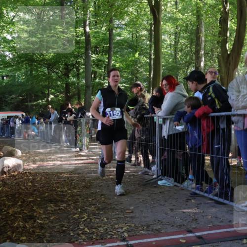 28.09.2025 - 33. Volkslauf durch das schöne Alstertal Strokosch-Dieckow http://msf.ph/oto/8967347 28.09.2025 11:41:33 Ziel 3195 meine-sportfotos.de
