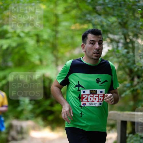 28.09.2025 - 33. Volkslauf durch das schöne Alstertal Patografie http://msf.ph/oto/8967350 28.09.2025 10:35:08 Laufen 2655 meine-sportfotos.de