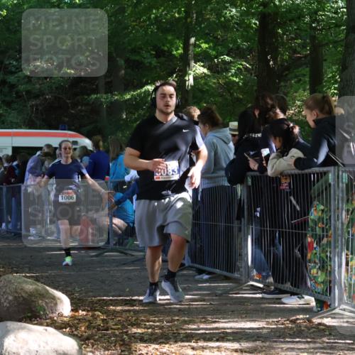 28.09.2025 - 33. Volkslauf durch das schöne Alstertal Strokosch-Dieckow http://msf.ph/oto/8967354 28.09.2025 11:41:47 Ziel 1006, 1558, 3083 meine-sportfotos.de