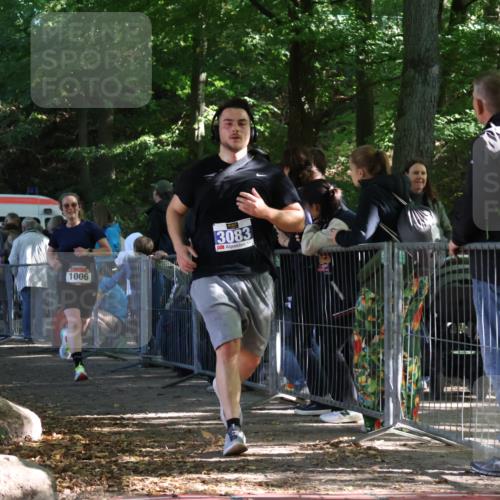 28.09.2025 - 33. Volkslauf durch das schöne Alstertal Strokosch-Dieckow http://msf.ph/oto/8967356 28.09.2025 11:41:47 Ziel 1006, 1558, 3083 meine-sportfotos.de