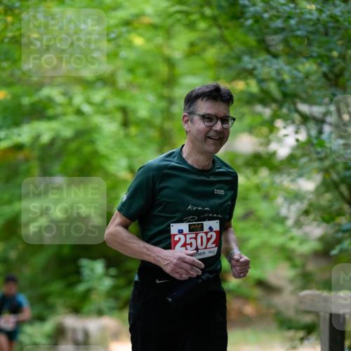 28.09.2025 - 33. Volkslauf durch das schöne Alstertal Patografie http://msf.ph/oto/8967357 28.09.2025 10:35:37 Laufen 2502 meine-sportfotos.de