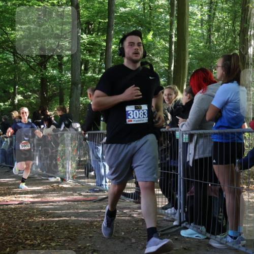 28.09.2025 - 33. Volkslauf durch das schöne Alstertal Strokosch-Dieckow http://msf.ph/oto/8967365 28.09.2025 11:41:49 Ziel 1006, 1558, 1801, 3083, 3253, 3269 meine-sportfotos.de