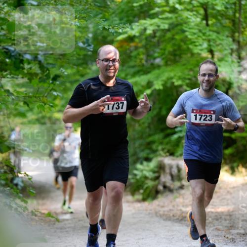 28.09.2025 - 33. Volkslauf durch das schöne Alstertal Patografie http://msf.ph/oto/8967371 28.09.2025 10:36:16 Laufen 37, 1723 meine-sportfotos.de