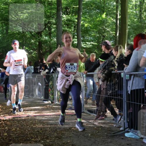 28.09.2025 - 33. Volkslauf durch das schöne Alstertal Strokosch-Dieckow http://msf.ph/oto/8967391 28.09.2025 11:41:57 Ziel 1584, 1766, 1801, 3028, 3047, 3253, 3269 meine-sportfotos.de