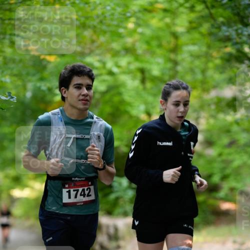 28.09.2025 - 33. Volkslauf durch das schöne Alstertal Patografie http://msf.ph/oto/8967392 28.09.2025 10:37:43 Laufen 1742 meine-sportfotos.de